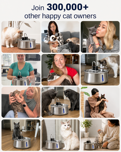 Snuffle™ Water Fountain Stainless Steel 2.0